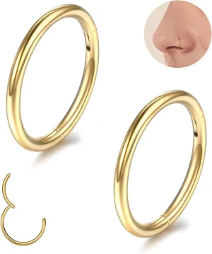 Nose Rings Hoops for Women Men 14G 16G 18G 20G Septum Jewelry 316L Surgical Steel Hinged Segment Ring Body Piercing Nose Hoop Lip Rings Nose Helix Cartilage Rook Earrings