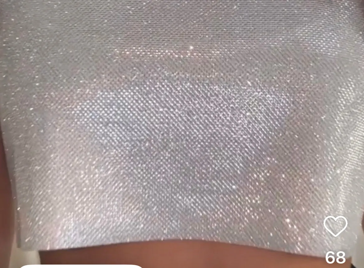Silver Cropped Top